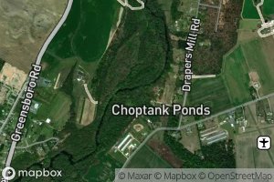 Little Gravelly Branch