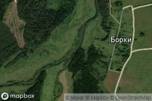 Nochnaya Chernyanitsa