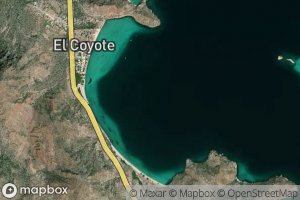 Bahia Coyote