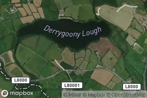 Derrygoony Lough