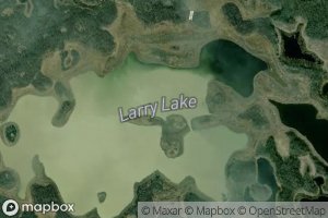 Larry Lake