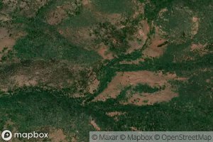 North Fork Birch Creek