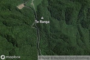 Te Awaateatua Stream