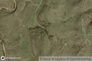 Quella Bottom Spring