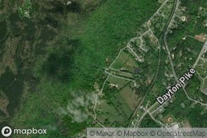 Iris Lovelady Spring