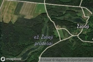 Ezeras Zalieji Prudeliai