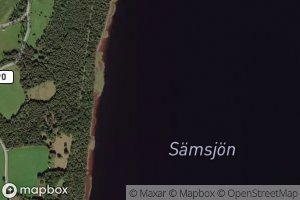Samsjon