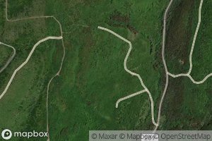 Northeast Branch McRitchie Brook