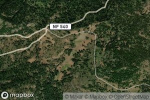 Cabbage Patch Spring