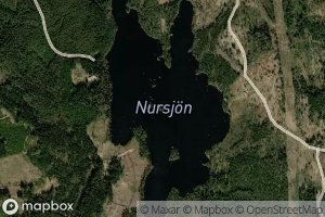 Nursjoen
