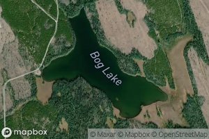 Bog Lake