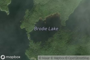 Brodie Lake