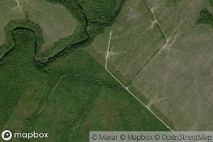 North Branch East Brook