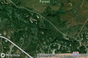 Dimmick Meadow Brook