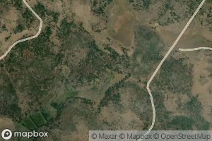 Little Grizzlie Spring