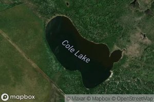 Cole Lake