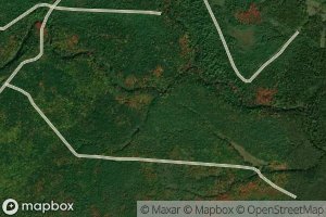 North Fork Black River