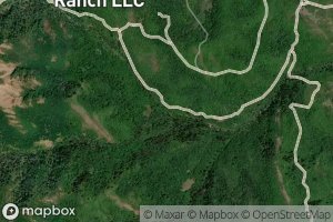 Right Hand Fork Dalton Creek