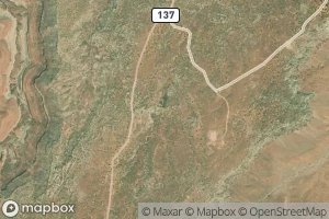 Little Mountain Spring