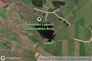 Pukepuke Lagoon