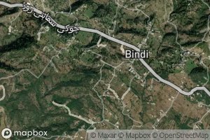 Bindi Spring