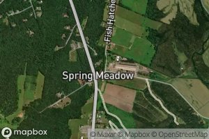 Spring Meadow Spring