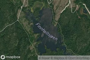 Finholtsjoen