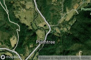 Plumtree Creek