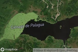 Cienaga de Palagua