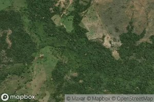 Morichal Las Violetas