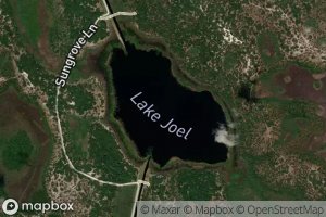 Lake Joel