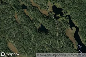 Tammenniska-Piilonen