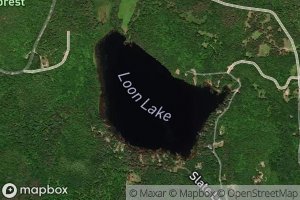 Loon Lake
