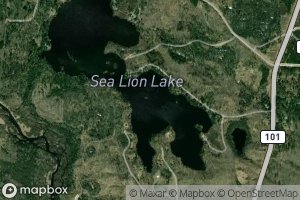 Sea Lion Lake III