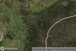 London Marsh Rivulet