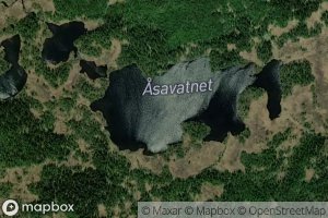 Asavatnet
