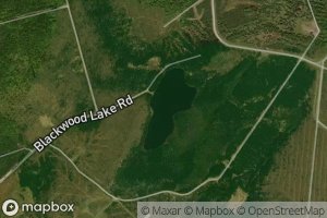 Blackwood Lake