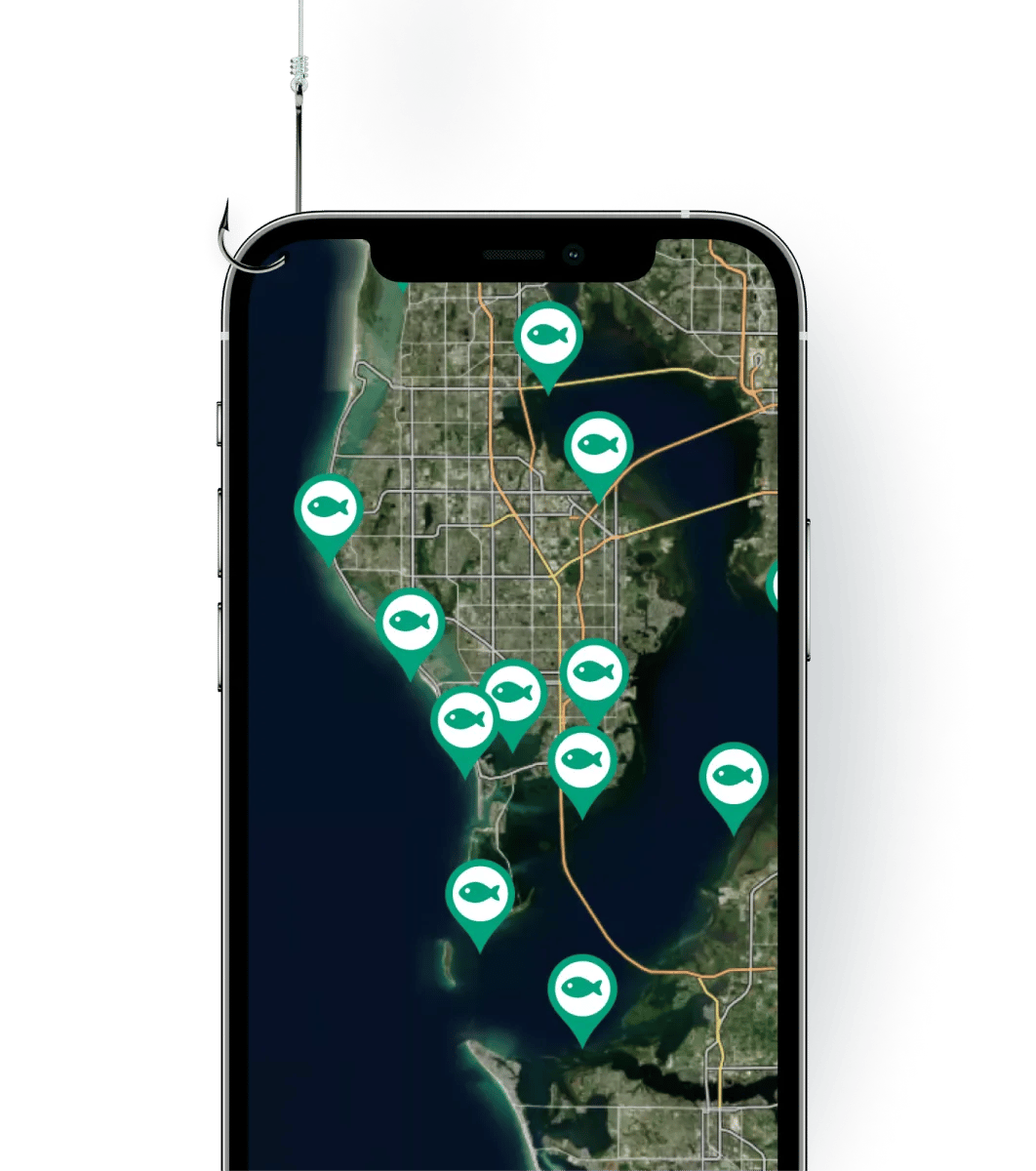 Desktop Discover New Local Fishing Spots Where Fish Are Being Caught feature card image