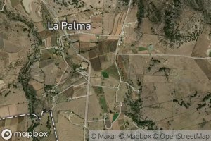 Bordo de Don Maximino