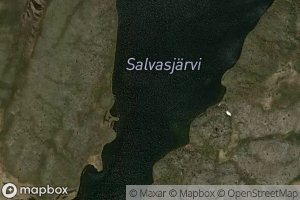 Salvasjarvi