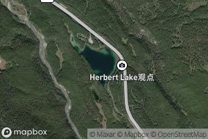 Herbert Lake