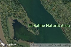 Saline Lake