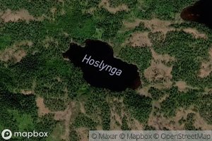 Hoslynga