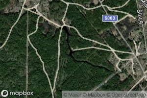 Marcinkoniu Tvenkinys