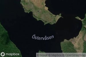 OEster-Vasen