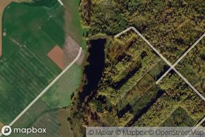 Vilkiausio Tvenkinys