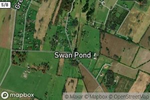 Swan Pond