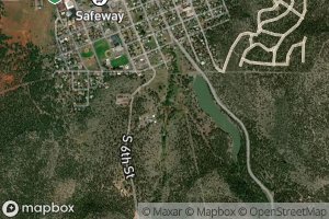 Saginaw Reservoirs (historical)