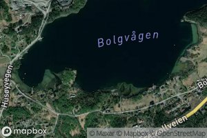 Bolgvagen