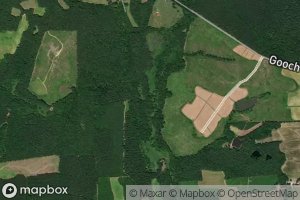 Gills Little Mill Creek